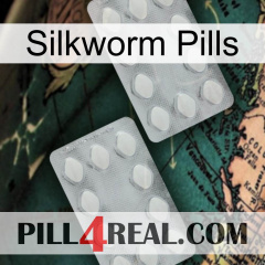 Silkworm Pills 17